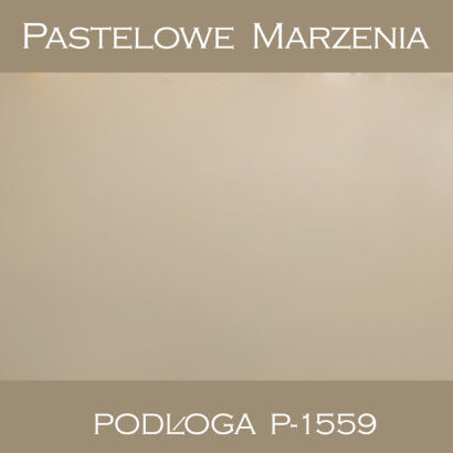 Tło fotograficzne winylowe, cieniowane p_1559