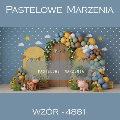 Tło fotograficzne urodzinowe z balonami t_4881