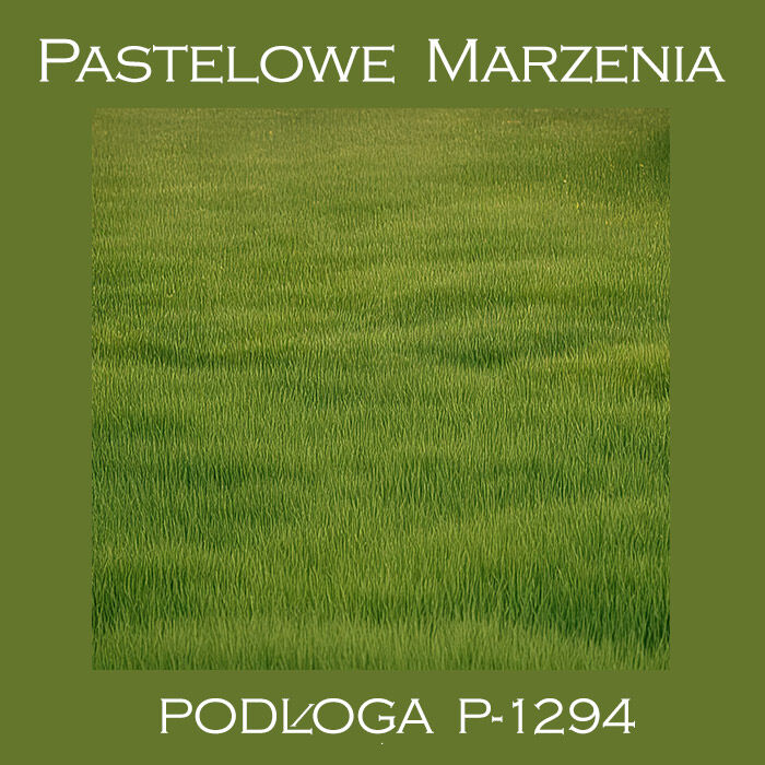 Photographic vinyl backdrop, grass p_1294