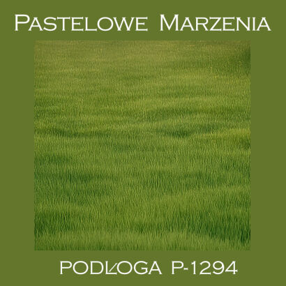 Photographic vinyl backdrop, grass p_1294