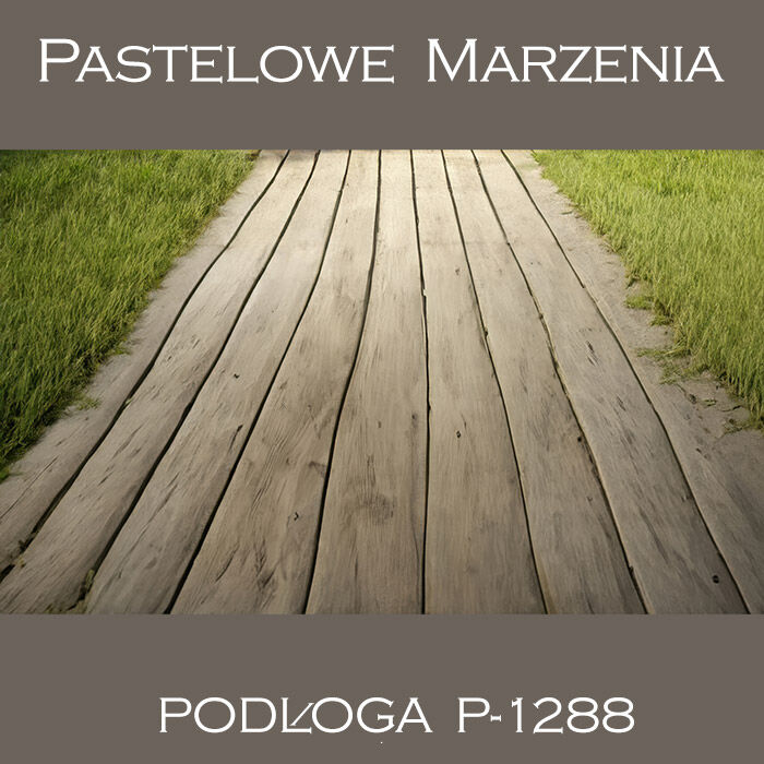 Photographic vinyl backdrop, grass p_1288