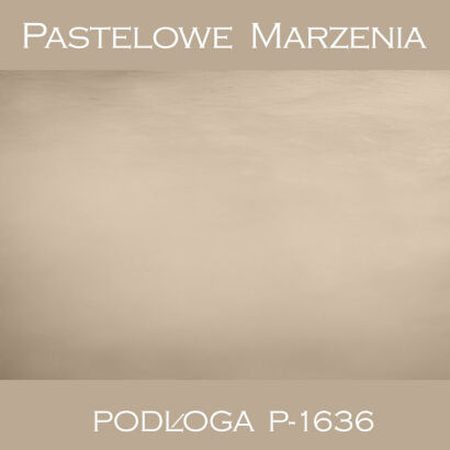 Vinyl photographic background, other p_1636