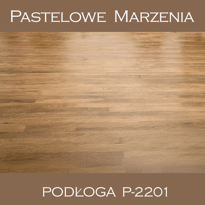 Vinyl photographic background, boards p_2201
