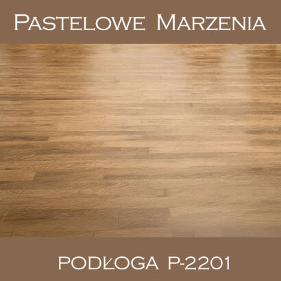 Vinyl photographic background, boards p_2201