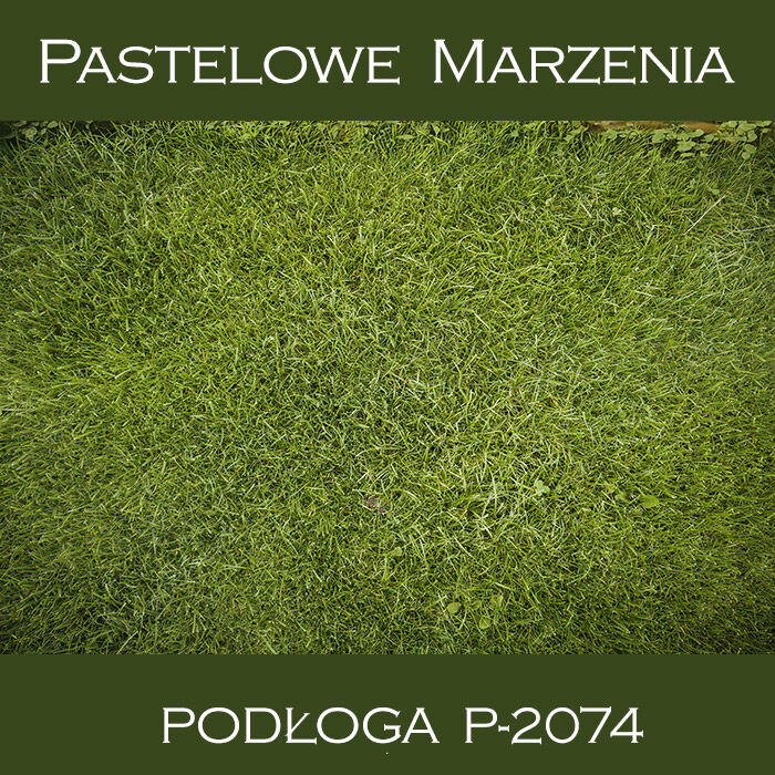 Vinyl photographic background, grass p_2074