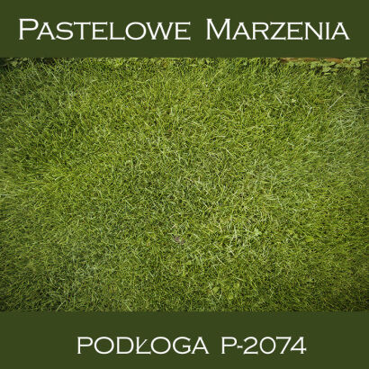 Vinyl photographic background, grass p_2074