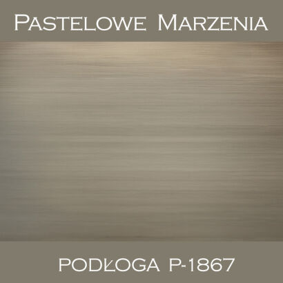 Vinyl photographic background, boards p_1867