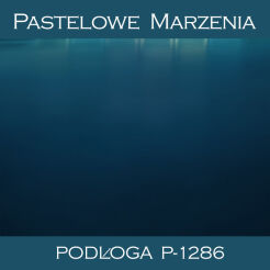 Tło fotograficzne winylowe, inne p_1286
