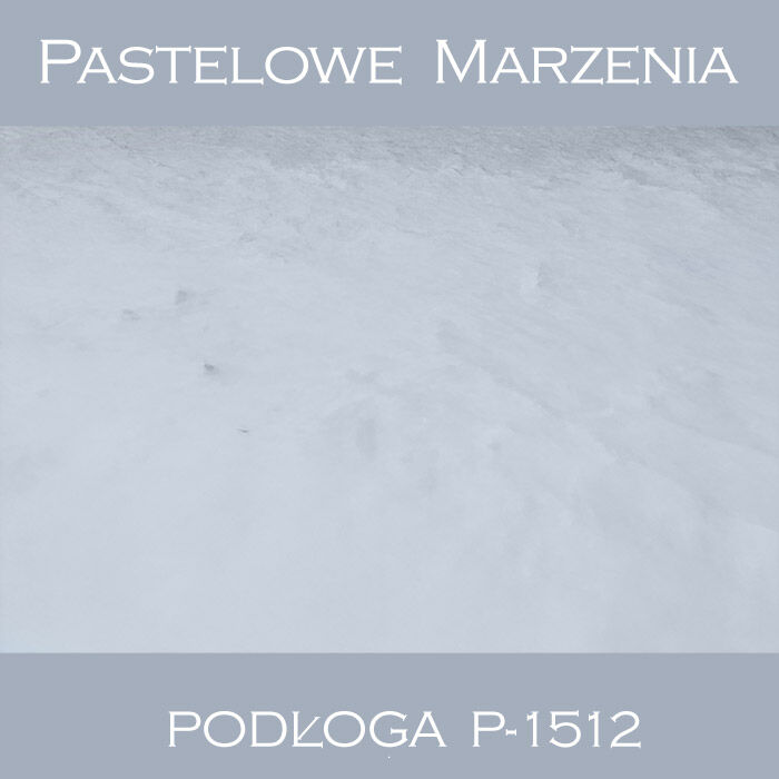 Vinyl photographic background, snow p_1512