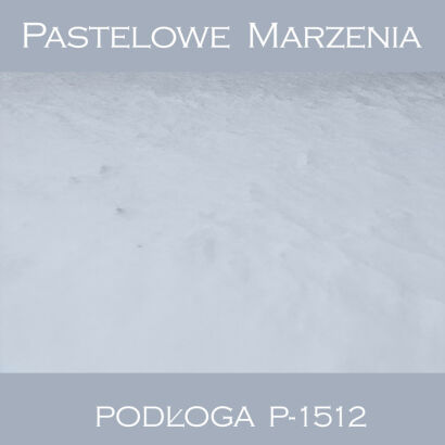 Vinyl photographic background, snow p_1512