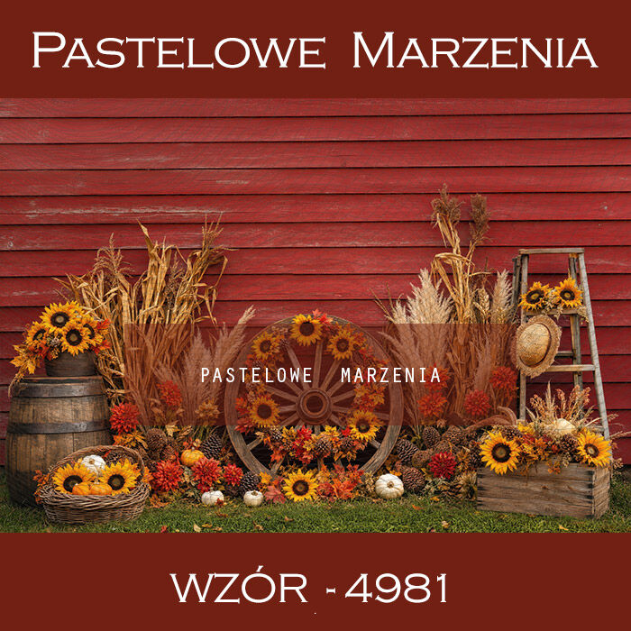 Autumn photographic background with sunflowers t_4981