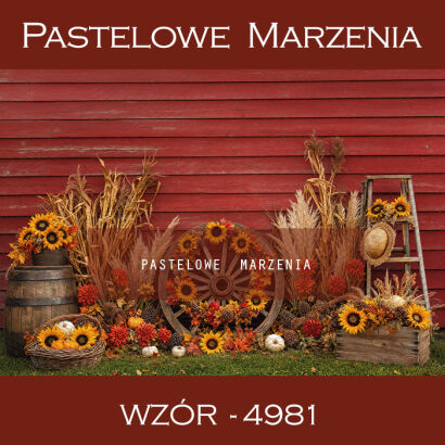 Autumn photographic background with sunflowers t_4981