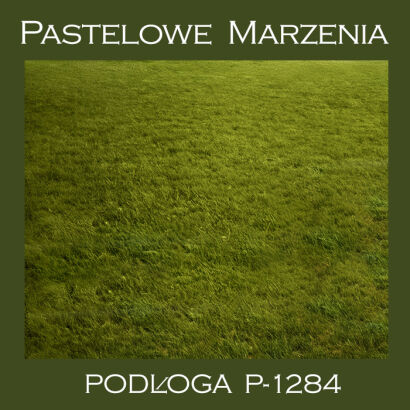 Photographic vinyl backdrop, grass p_1284