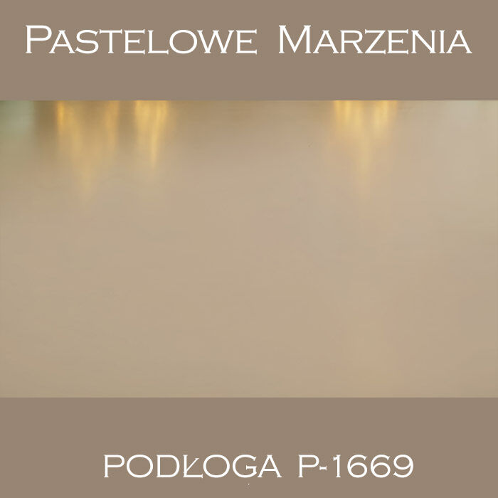 Vinyl photographic background, other p_1669