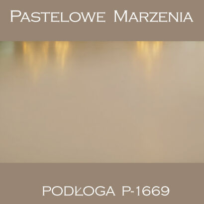 Vinyl photographic background, other p_1669
