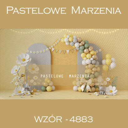 Tło fotograficzne urodzinowe z balonami t_4883