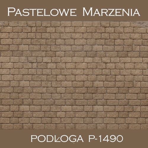 Tło fotograficzne winylowe, chodnik p_1490
