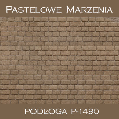Tło fotograficzne winylowe, chodnik p_1490