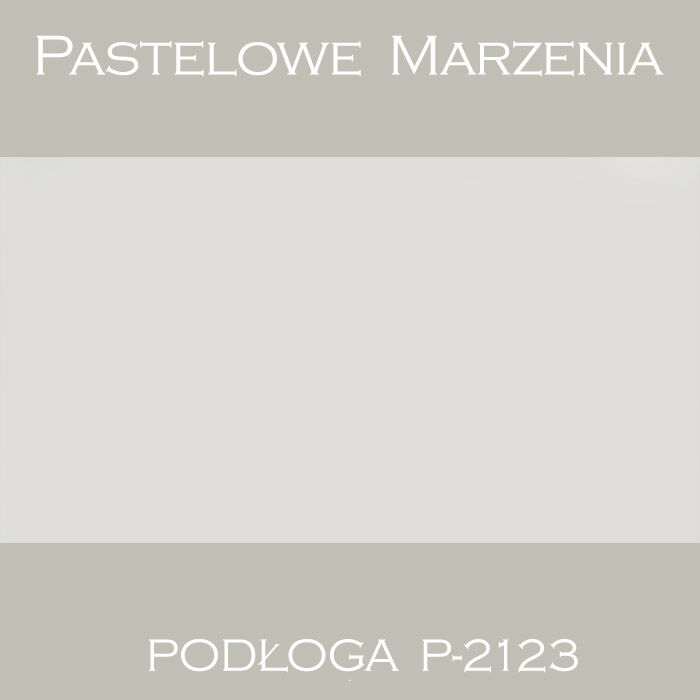 Vinyl photographic background, solid p_2123