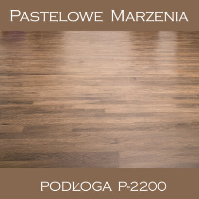Vinyl photographic background, boards p_2200