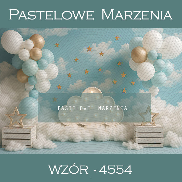 Tło fotograficzne urodzinowe z balonami t_4554