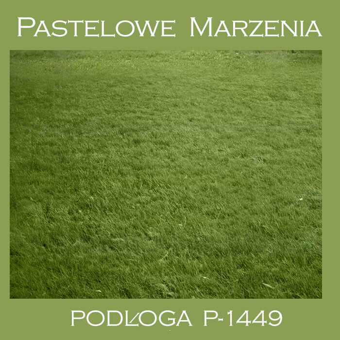 Photographic vinyl backdrop, grass p_1449