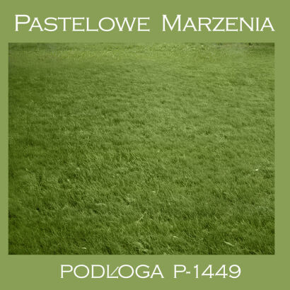 Photographic vinyl backdrop, grass p_1449