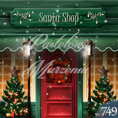 Photographic backdrop for Christmas with green shop t_749