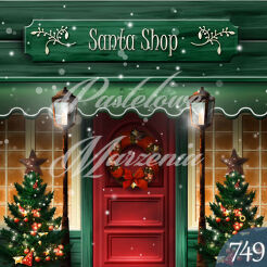 Photographic backdrop for Christmas with green shop t_749