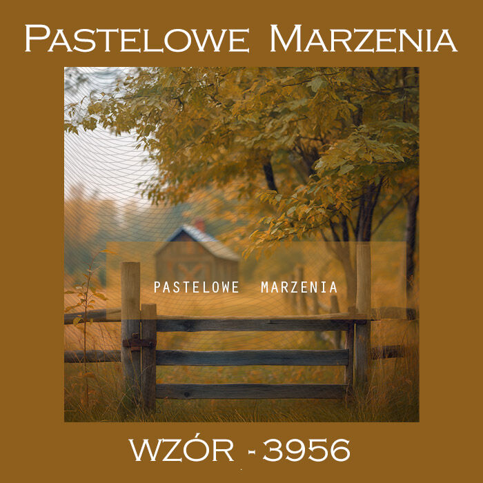 Photographic background 250x250 cm sale