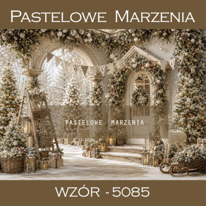 Christmas photographic backdrop with a street t_5085