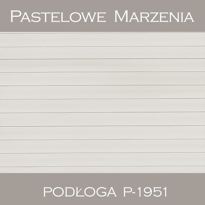 Vinyl photographic background, boards p_1951