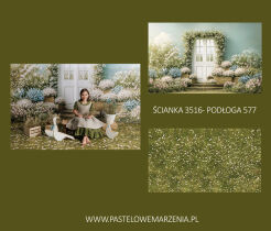 A set of fabric wall + vinyl floor t_3516, p_577