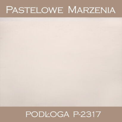 Vinyl photographic background, snow p_2317