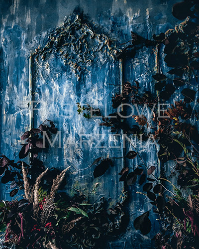 tło kadrowanie 200x250 cm
