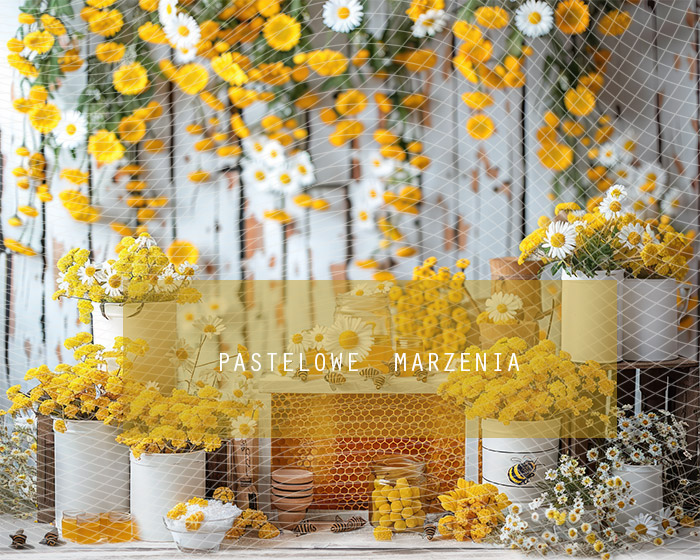 Tło fotograficzne materiałowe z kategorii Do Przedszkola. Kadr 250x200 cm