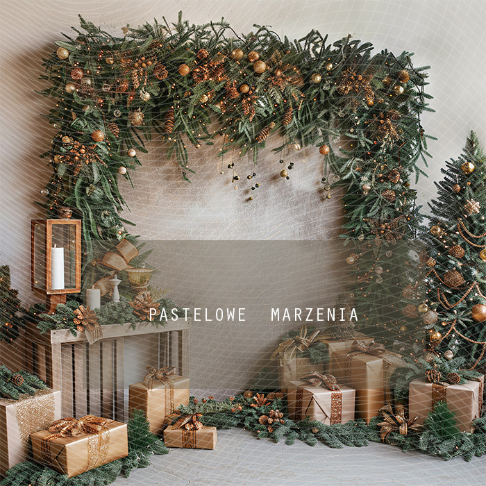 Fabric photographic backdrop from the Christmas category, Frame 250x250 cm