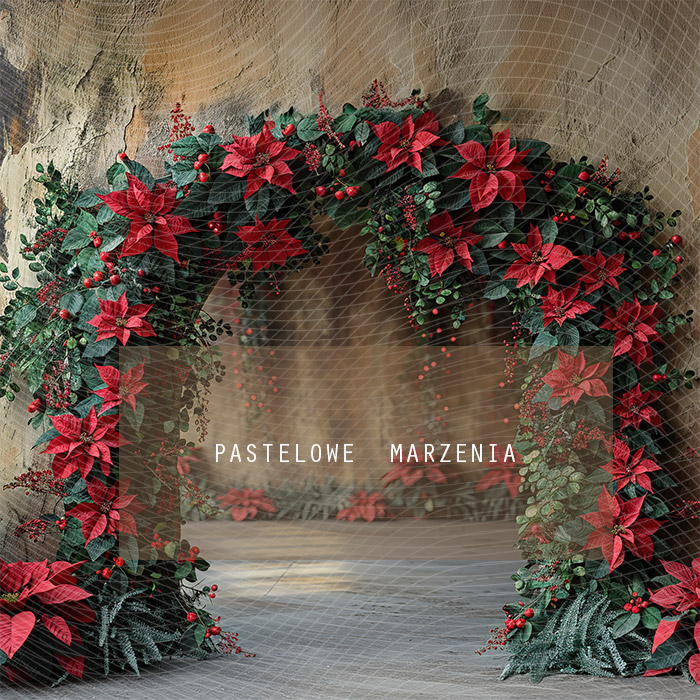 Fabric photographic backdrop from the Christmas category, Frame 250x250 cm