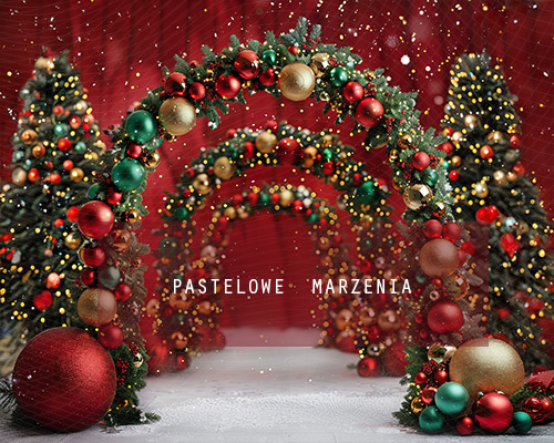 Fabric photographic backdrop from the Christmas category, Frame 250x200 cm