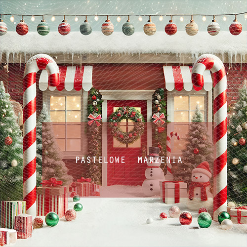 Fabric photographic backdrop from the Christmas category, Frame 250x250 cm