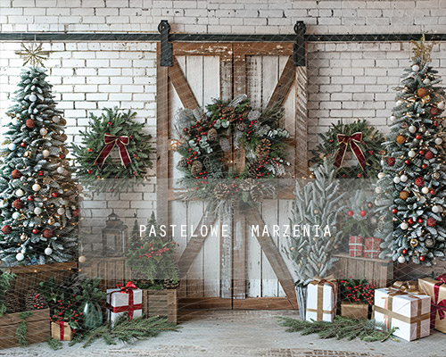 Fabric photographic backdrop from the Christmas category, Frame 250x200 cm