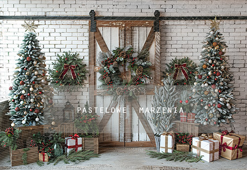 Fabric photographic backdrop from the Christmas category, Frame 290x200 cm