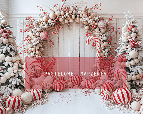 Fabric photographic backdrop from the Christmas category, Frame 250x200 cm