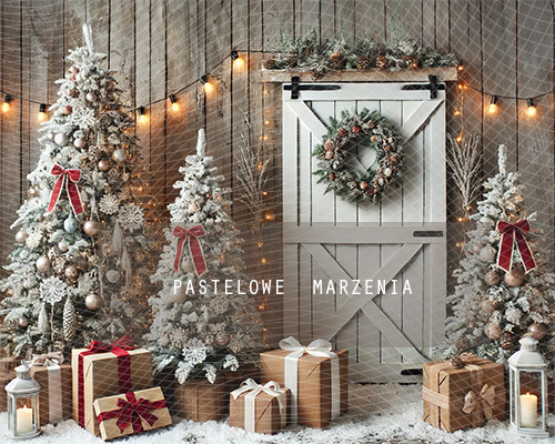 Fabric photographic backdrop from the Christmas category, Frame 250x200 cm