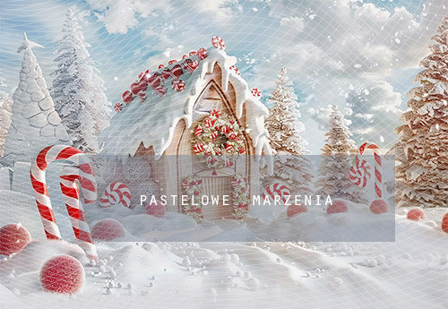 Fabric photographic backdrop from the Christmas category, Frame 290x200 cm