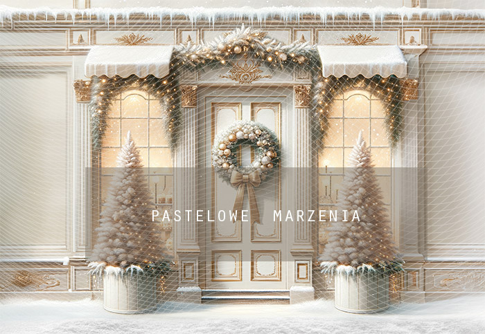 Fabric photographic backdrop from the Christmas category, Frame 290x200 cm