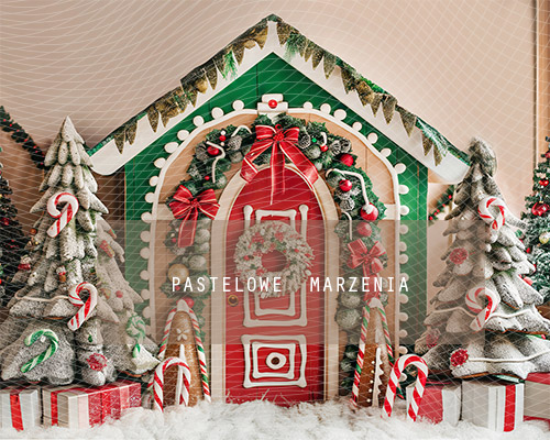 Fabric photographic backdrop from the Christmas category, Frame 250x200 cm