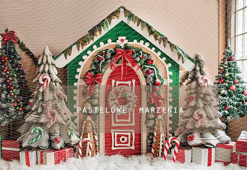 Fabric photographic backdrop from the Christmas category, Frame 290x200 cm