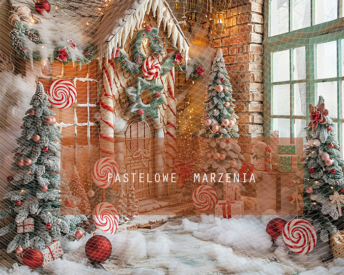 Fabric photographic backdrop from the Christmas category, Frame 250x200 cm