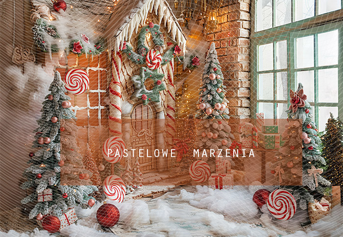 Fabric photographic backdrop from the Christmas category, Frame 290x200 cm